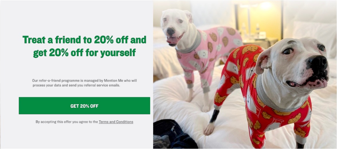 Vet Marketing Promotion Example